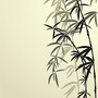 bambus polep na vestavěné skříně